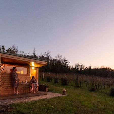 Agriturismo Terre Bianche Teolo المظهر الخارجي الصورة
