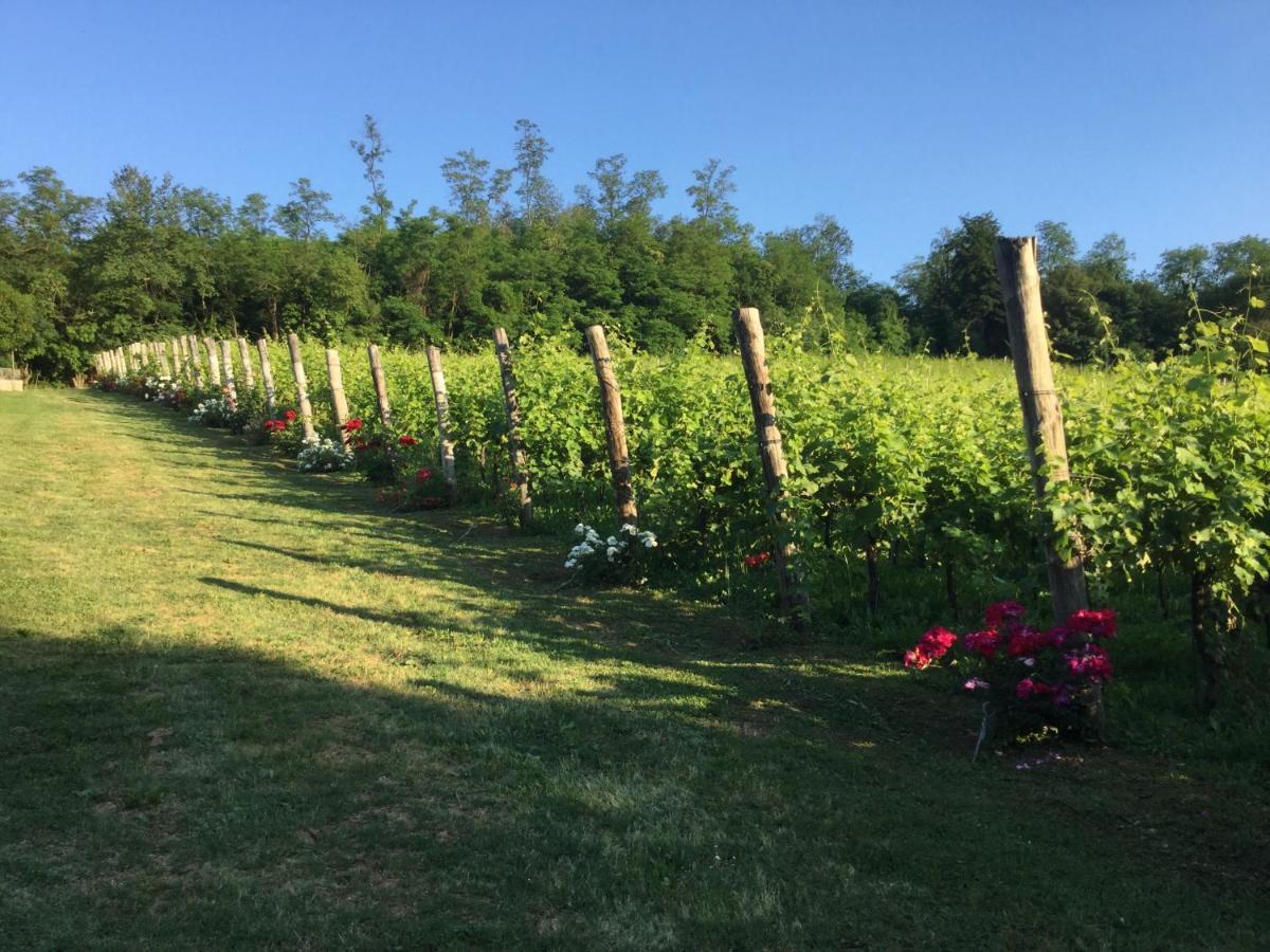 Agriturismo Terre Bianche Teolo المظهر الخارجي الصورة
