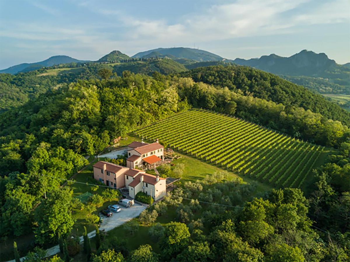 Agriturismo Terre Bianche Teolo المظهر الخارجي الصورة