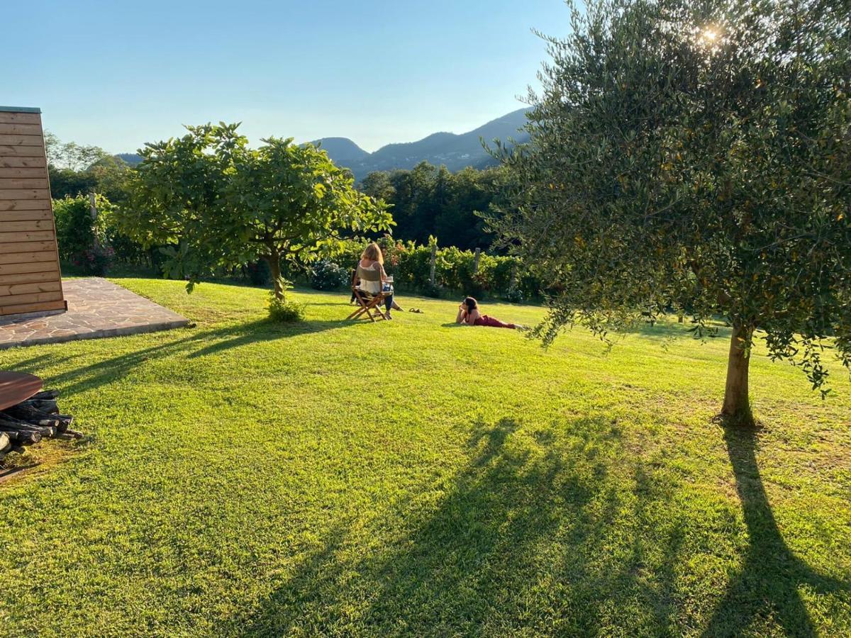 Agriturismo Terre Bianche Teolo المظهر الخارجي الصورة