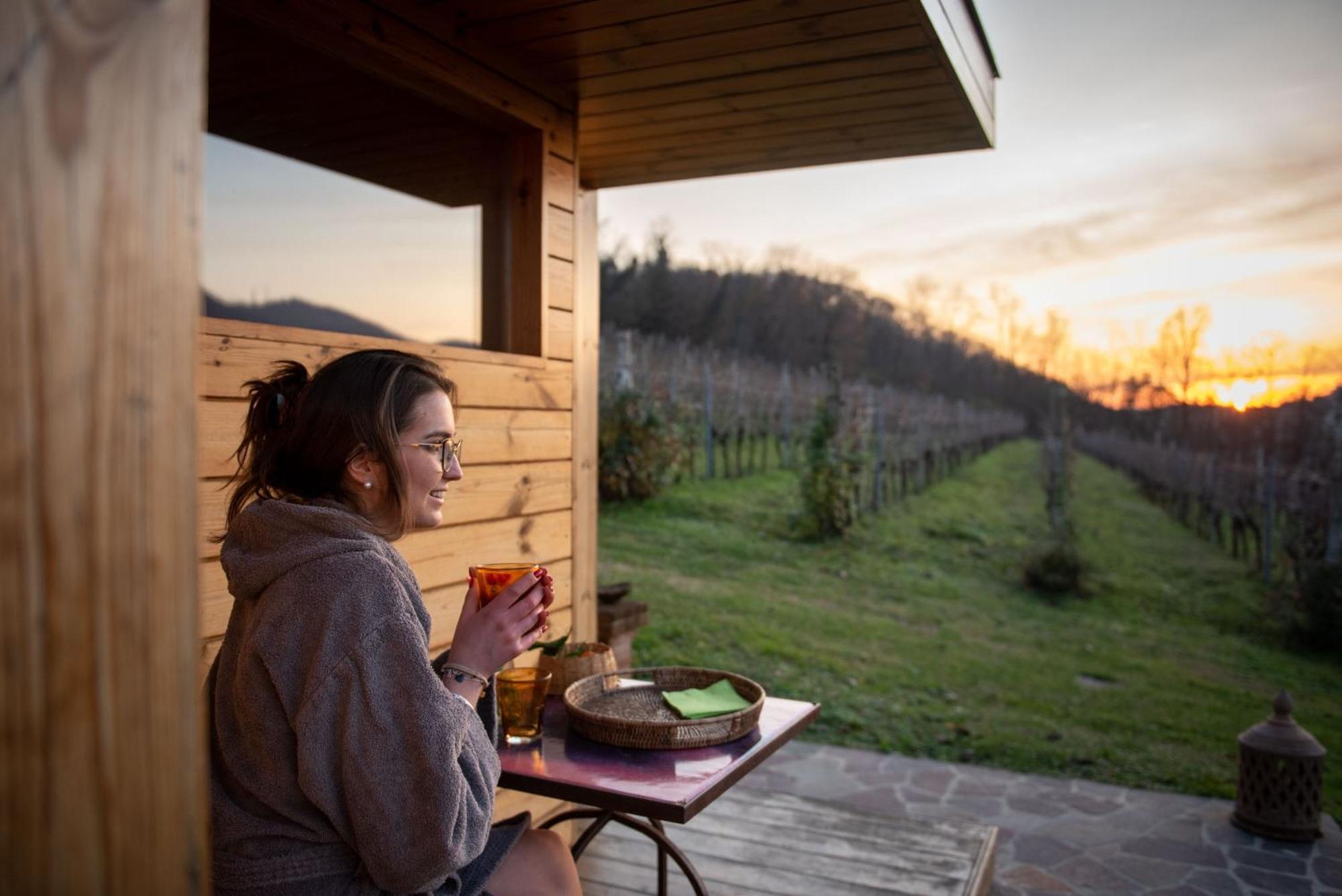 Agriturismo Terre Bianche Teolo المظهر الخارجي الصورة