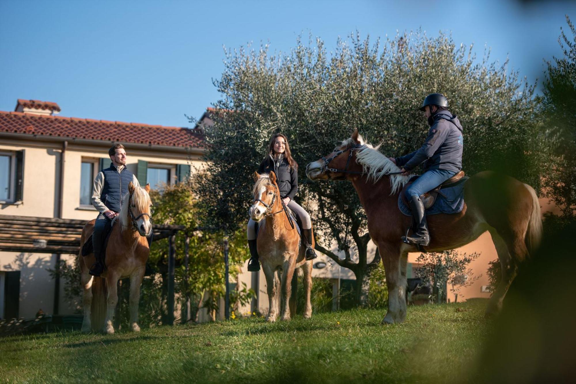 Agriturismo Terre Bianche Teolo المظهر الخارجي الصورة